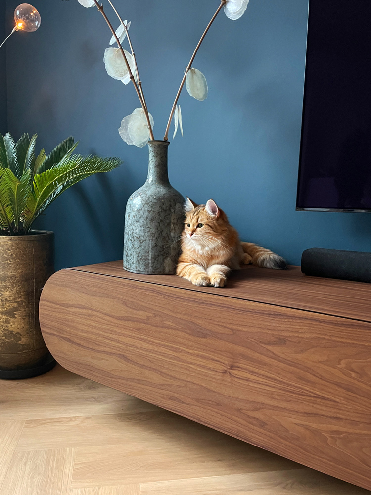TV meubel noten poes